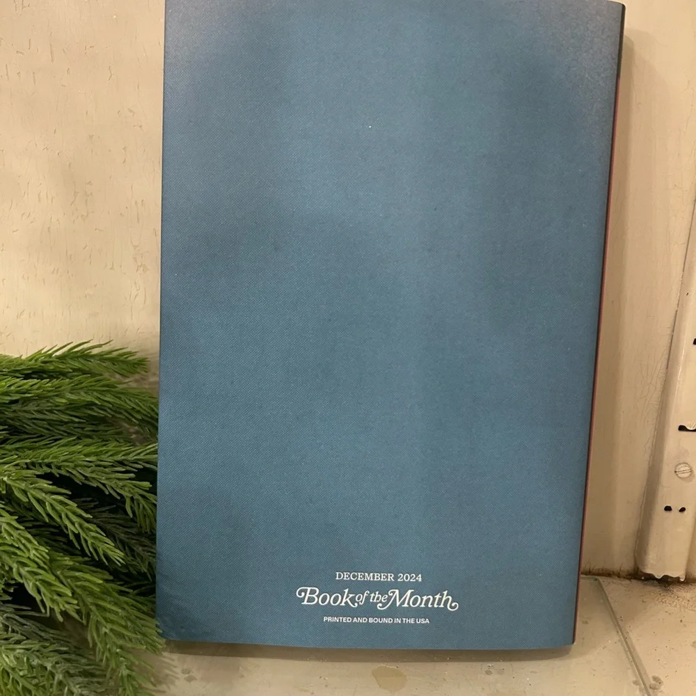 The Most Wonderful Crime of the Year by Ally Carter - Picture 2 of 2